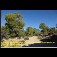 38345 121 005 Wanderung von Sant Elm zum Wachturm Cala en Basset, Sant Elm, Mallorca 2019 - Fotograf Dr. HansjoergKlingenberger.jpg